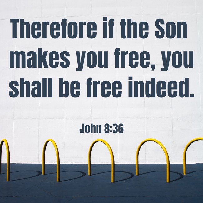 Therefore if the Son makes you free, you shall be free indeed. - John 8:36