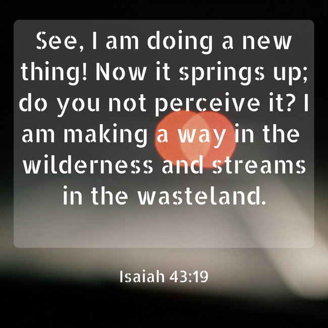 See, I am doing a new thing! Now it springs up; do you not perceive it? I am making a way in the wilderness and streams in the wasteland. - Isaiah 43:19