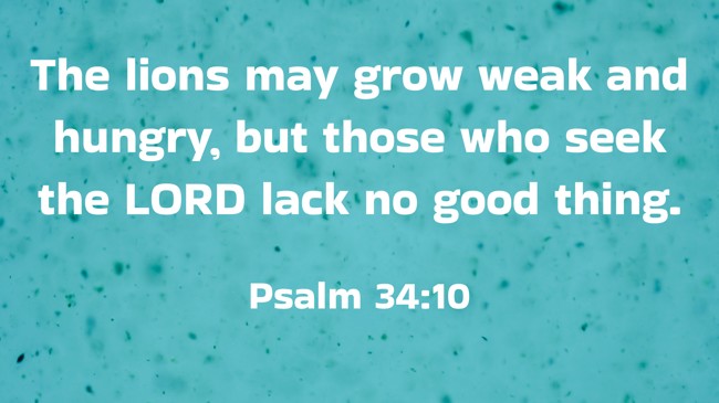 The lions may grow weak and hungry, but those who seek the LORD lack no good thing. - Psalm 34:10