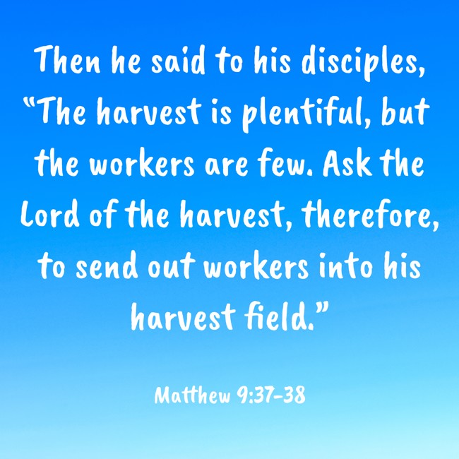 Then he said to his disciples, “The harvest is plentiful, but the workers are few. Ask the Lord of the harvest, therefore, to send out workers into his harvest field.” - Matthew 9:37-38