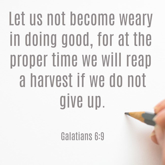 Let us not become weary in doing good, for at the proper time we will reap a harvest if we do not give up. - Galatians 6:9