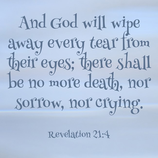 And God will wipe away every tear from their eyes; there shall be no more death, nor sorrow, nor crying. - Revelation 21:4