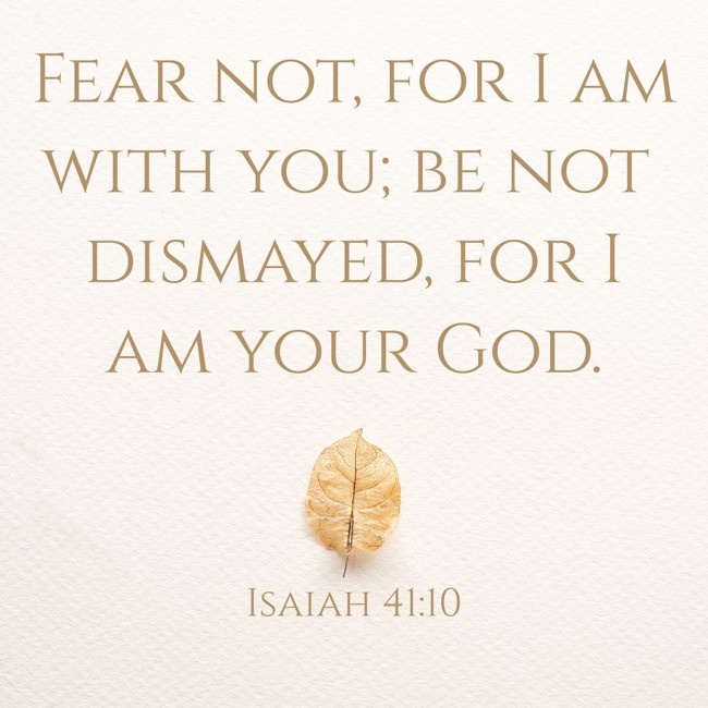 Fear not, for I am with you; be not dismayed, for I am your God. - Isaiah 41:10