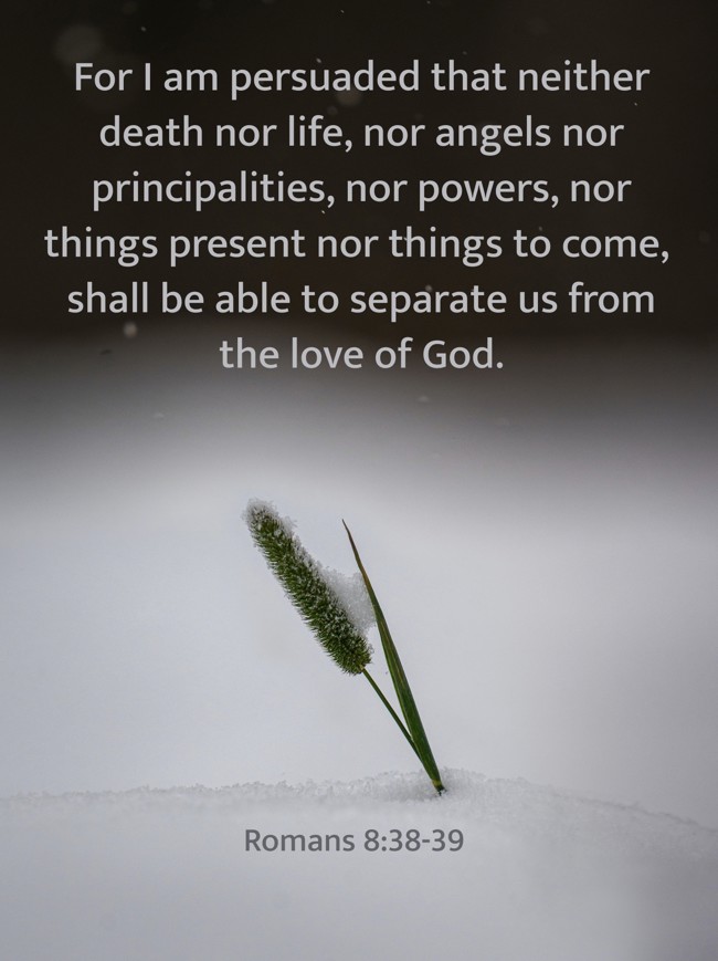 For I am persuaded that neither death nor life, nor angels nor principalities, nor powers, nor things present nor things to come, shall be able to separate us from the love of God. - Romans 8:38-39