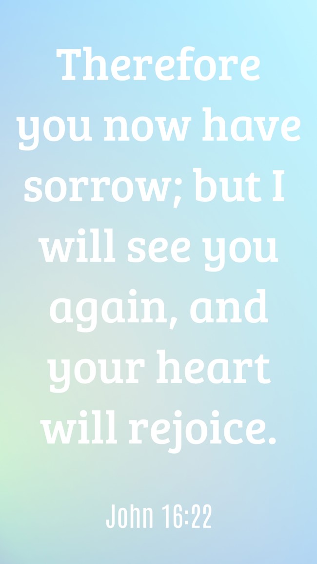 Therefore you now have sorrow; but I will see you again, and your heart will rejoice. - John 16:22