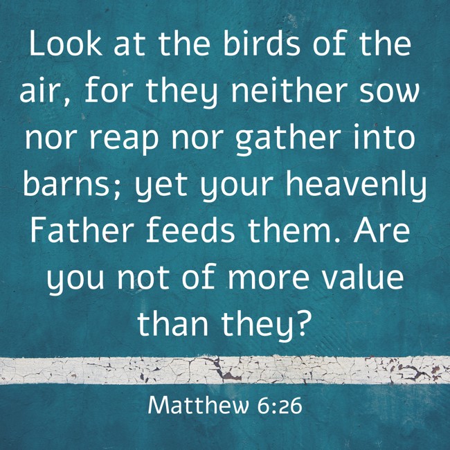 Look at the birds of the air, for they neither sow nor reap nor gather into barns; yet your heavenly Father feeds them. Are you not of more value than they? - Matthew 6:26