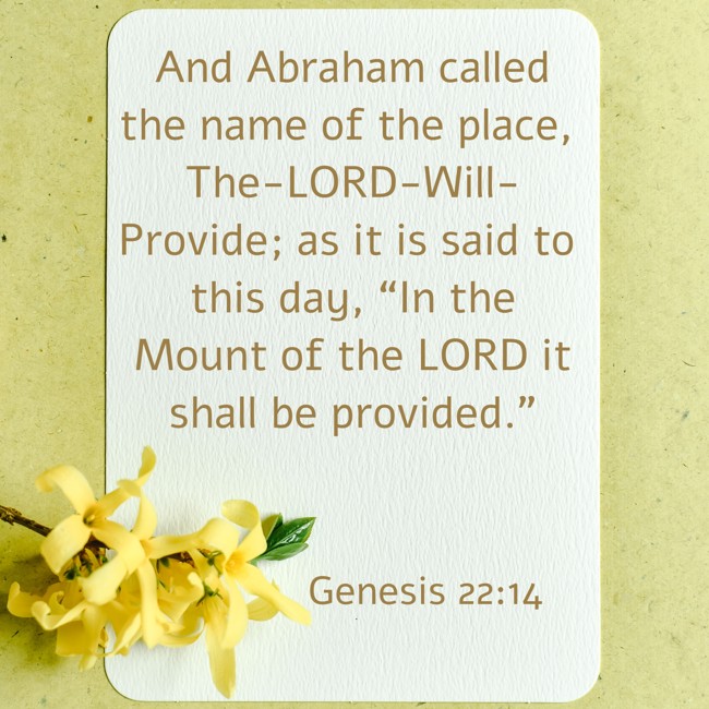 And Abraham called the name of the place, The-LORD-Will-Provide; as it is said to this day, “In the Mount of the LORD it shall be provided.” - Genesis 22:14