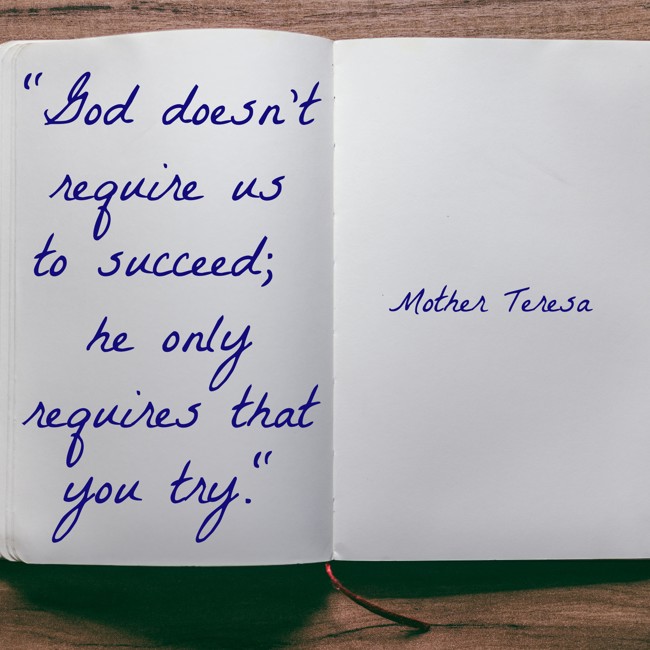 God doesn’t require us to succeed; he only requires that you try. - Mother Teresa