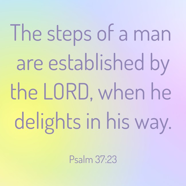 The steps of a man are established by the LORD, when he delights in his way. - Psalm 37:23