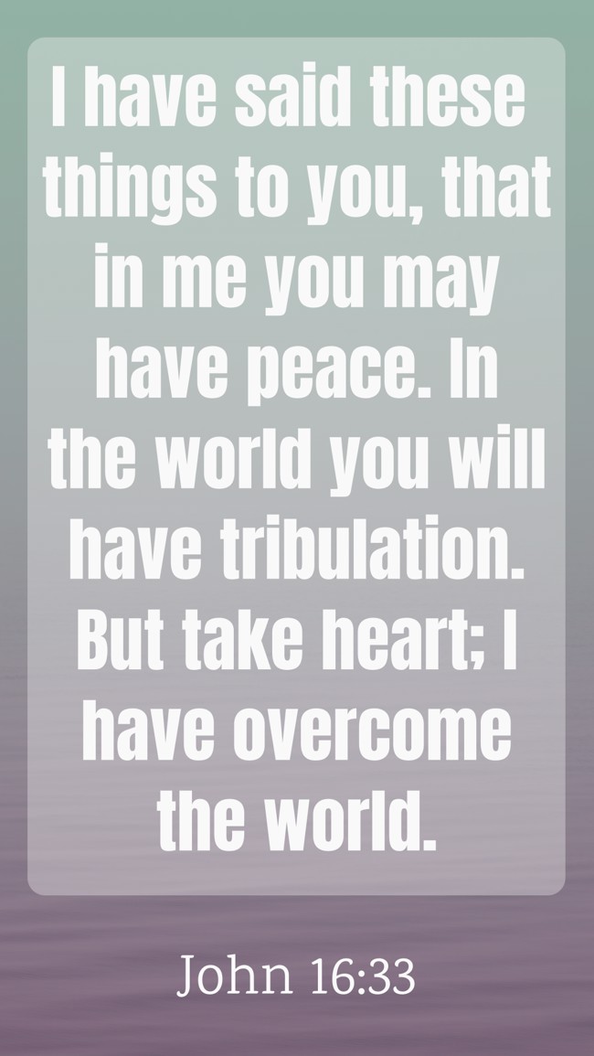 I have said these things to you, that in me you may have peace. In the world you will have tribulation. But take heart; I have overcome the world. - John 16:33