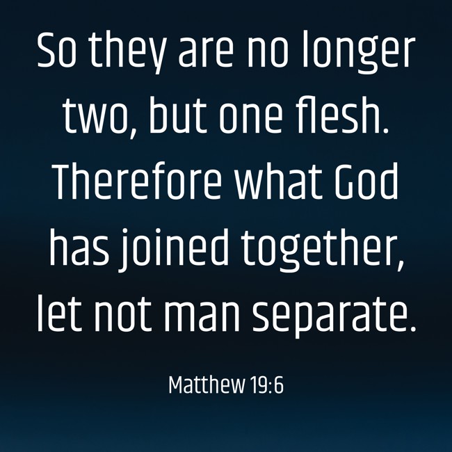 So they are no longer two, but one flesh. Therefore what God has joined together, let not man separate. - Matthew 19:6