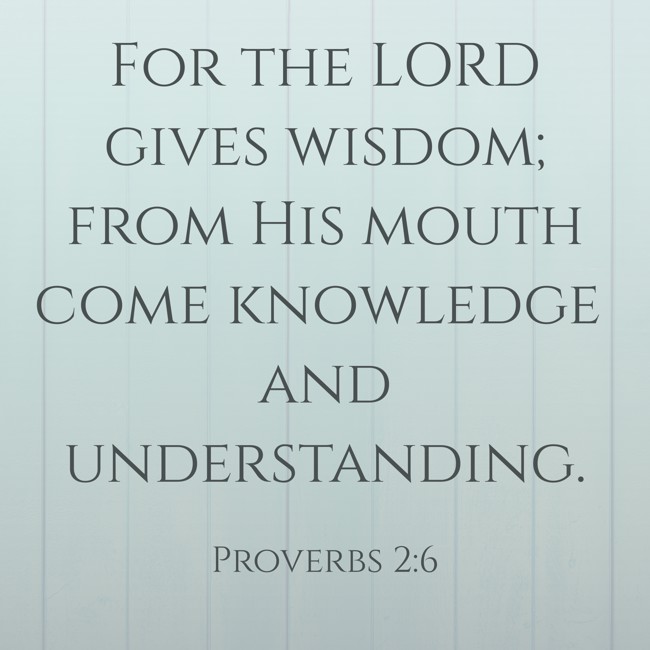 For the LORD gives wisdom; from His mouth come knowledge and understanding. - Proverbs 2:6