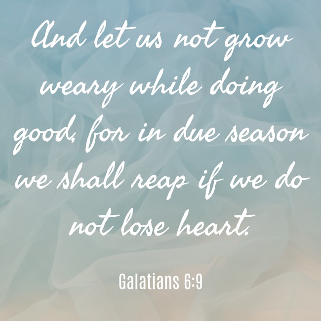And let us not grow weary while doing good, for in due season we shall reap if we do not lose heart. - Galatians 6:9