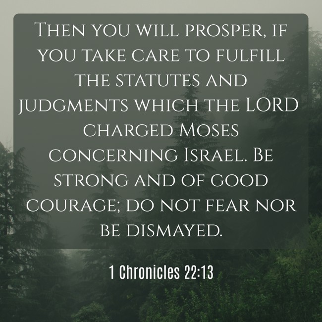 Then you will prosper, if you take care to fulfill the statutes and judgments which the LORD charged Moses concerning Israel. Be strong and of good courage; do not fear nor be dismayed. - 1 Chronicles 22:13