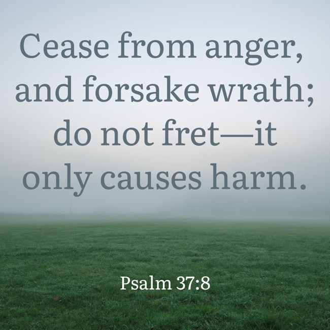 Cease from anger, and forsake wrath; do not fret—it only causes harm. - Psalm 37:8