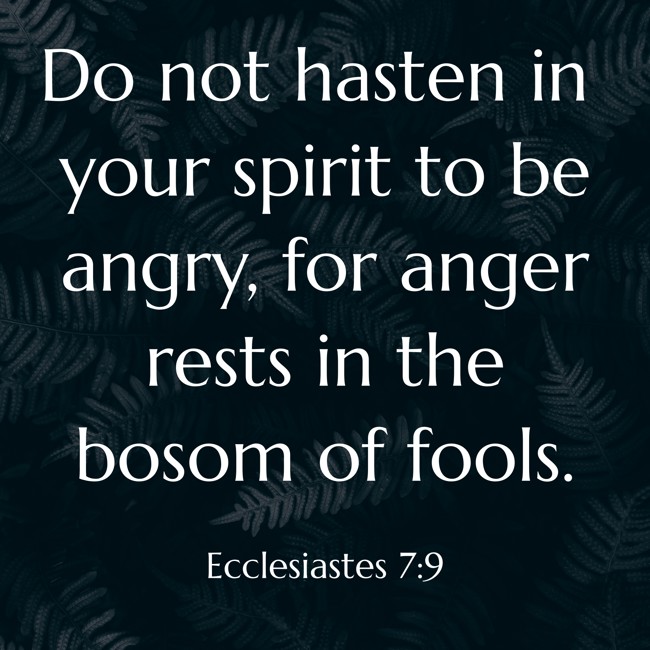 Do not hasten in your spirit to be angry, for anger rests in the bosom of fools. - Ecclesiastes 7:9