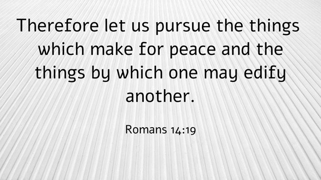 Therefore let us pursue the things which make for peace and the things by which one may edify another. - Romans 14:19