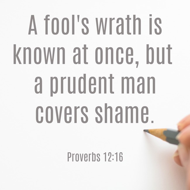 A fool's wrath is known at once, but a prudent man covers shame. - Proverbs 12:16
