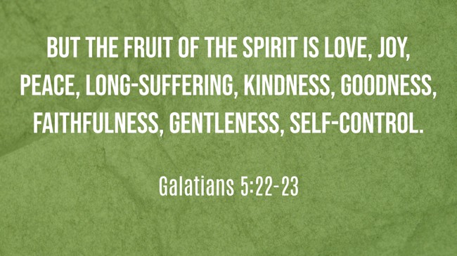 But the fruit of the Spirit is love, joy, peace, long-suffering, kindness, goodness, faithfulness, gentleness, self-control. - Galatians 5:22-23