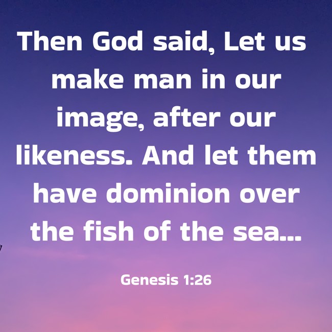 Then God said, Let us make man in our image, after our likeness. And let them have dominion over the fish of the sea...
- Genesis 1:26