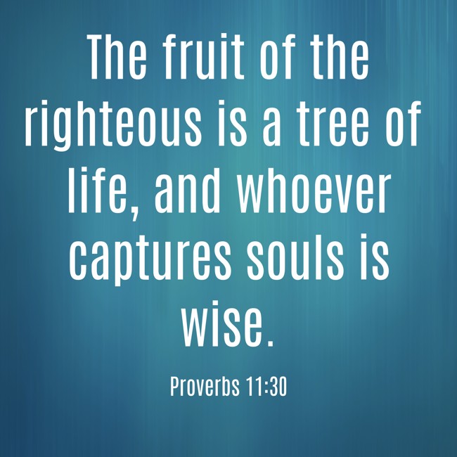 The fruit of the righteous is a tree of life, and whoever captures souls is wise.
- Proverbs 11:30