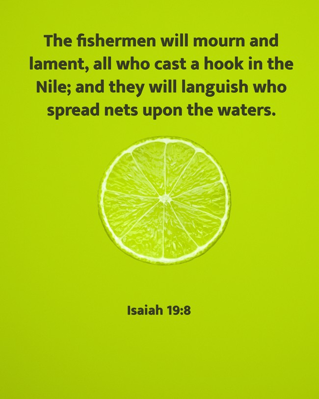 The fishermen will mourn and lament, all who cast a hook in the Nile; and they will languish who spread nets upon the waters.
- Isaiah 19:8