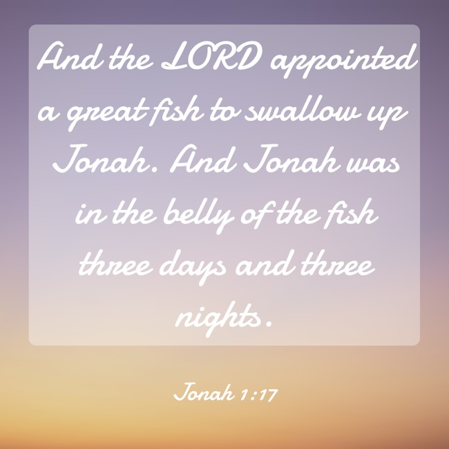 And the LORD appointed a great fish to swallow up Jonah. And Jonah was in the belly of the fish three days and three nights.
- Jonah 1:17