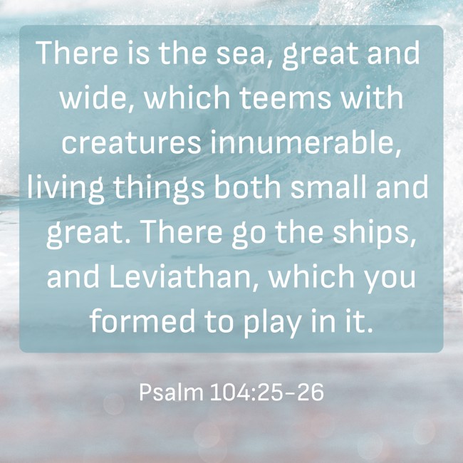 There is the sea, great and wide, which teems with creatures innumerable, living things both small and great. There go the ships, and Leviathan, which you formed to play in it.
- Psalm 104:25-26