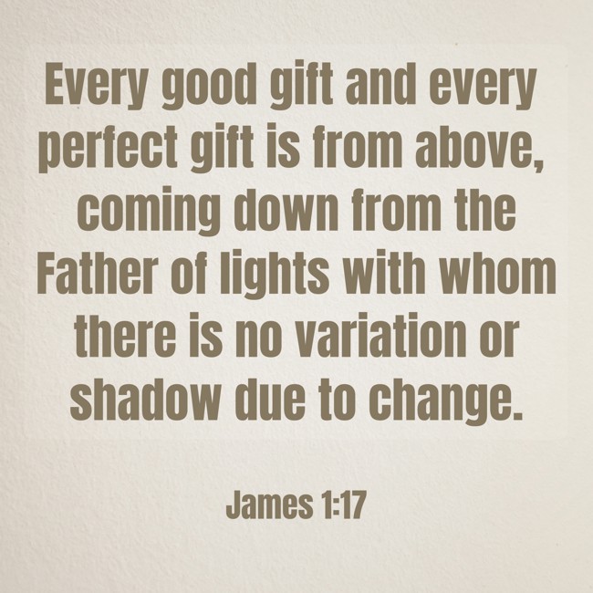 Every good gift and every perfect gift is from above, coming down from the Father of lights with whom there is no variation or shadow due to change.
- James 1:17