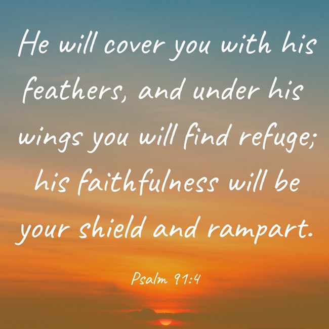 He will cover you with his feathers, and under his wings you will find refuge; his faithfulness will be your shield and rampart. - Psalm 91:4