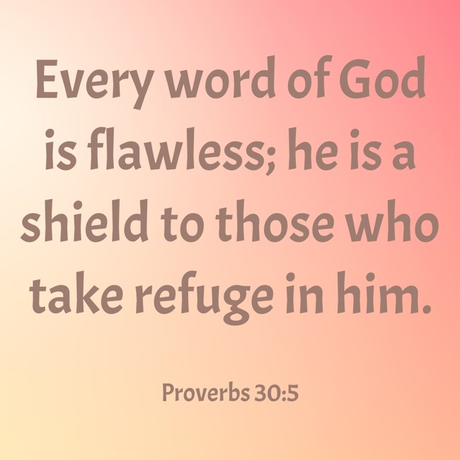 Every word of God is flawless; he is a shield to those who take refuge in him. - Proverbs 30:5