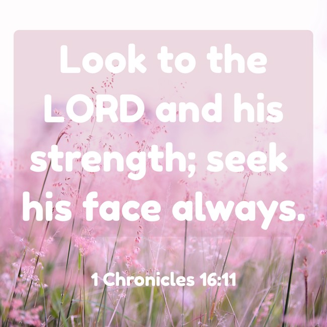 Look to the LORD and his strength; seek his face always. - 1 Chronicles 16:11