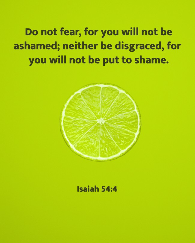 Do not fear, for you will not be ashamed; neither be disgraced, for you will not be put to shame. - Isaiah 54:4