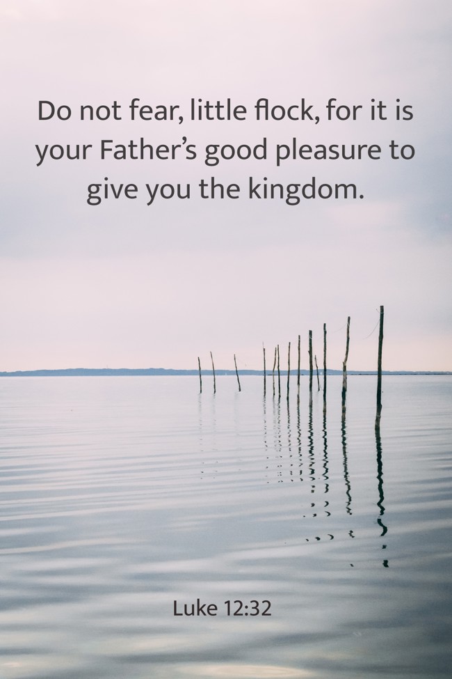 Do not fear, little flock, for it is your Father’s good pleasure to give you the kingdom. - Luke 12:32