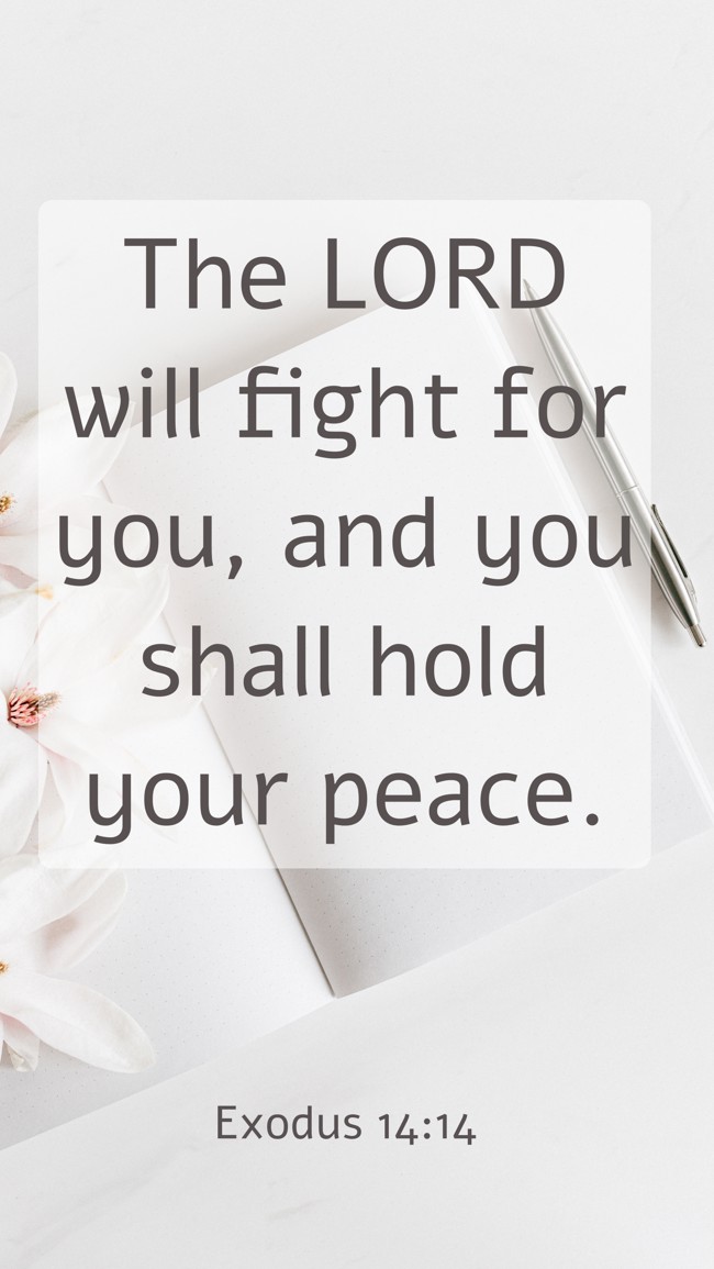 The LORD will fight for you, and you shall hold your peace. - Exodus 14:14