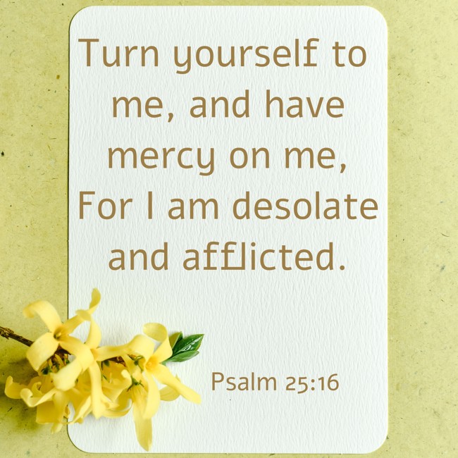 Turn yourself to me, and have mercy on me, For I am desolate and afflicted. - Psalm 25:16