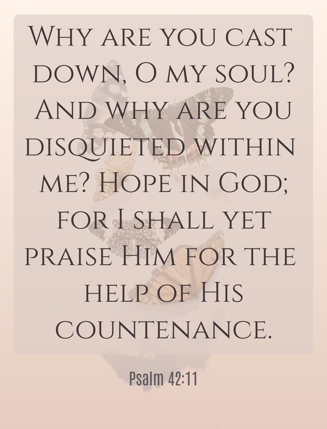 Why are you cast down, O my soul? And why are you disquieted within me? Hope in God; for I shall yet praise Him for the help of His countenance. - Psalm 42:11