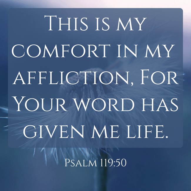 This is my comfort in my affliction, For Your word has given me life. - Psalm 119:50