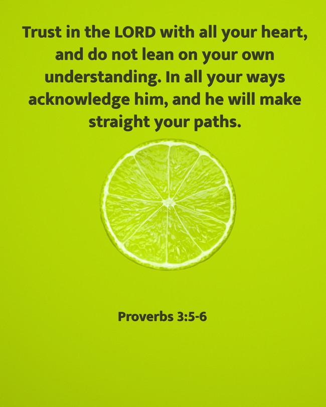 Trust in the LORD with all your heart, and do not lean on your own understanding. In all your ways acknowledge him, and he will make straight your paths. - Proverbs 3:5-6