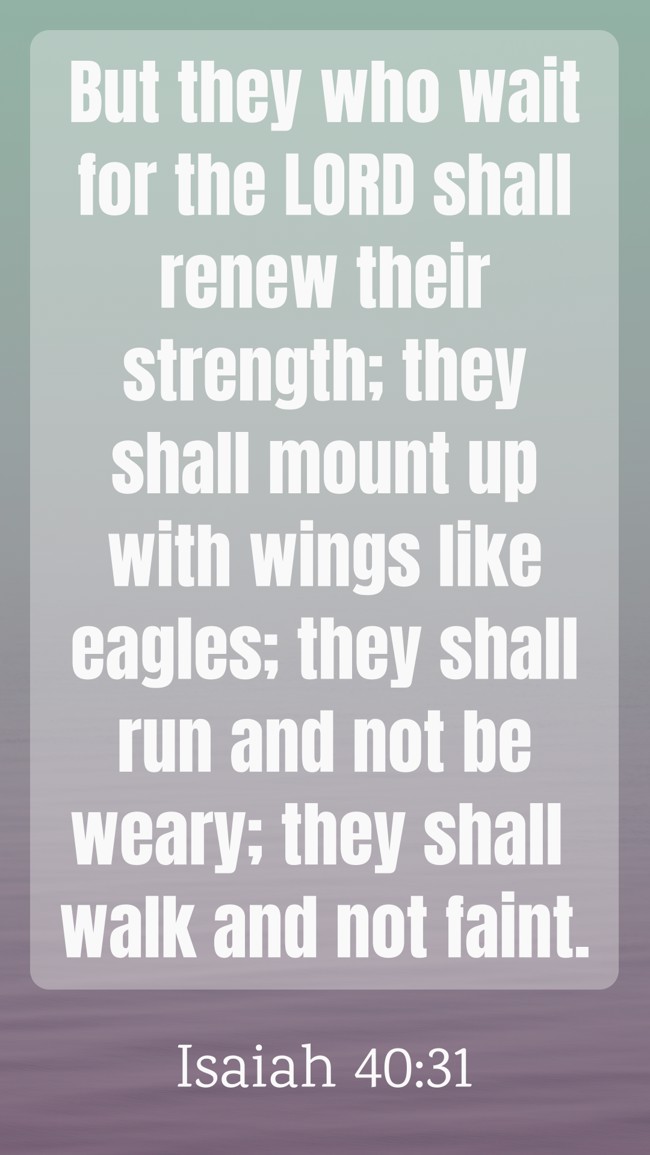 But they who wait for the LORD shall renew their strength; they shall mount up with wings like eagles; they shall run and not be weary; they shall walk and not faint. - Isaiah 40:31