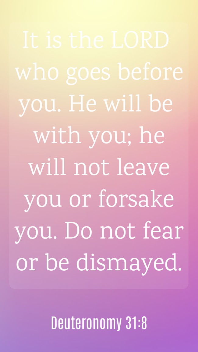 It is the LORD who goes before you. He will be with you; he will not leave you or forsake you. Do not fear or be dismayed. - Deuteronomy 31:8