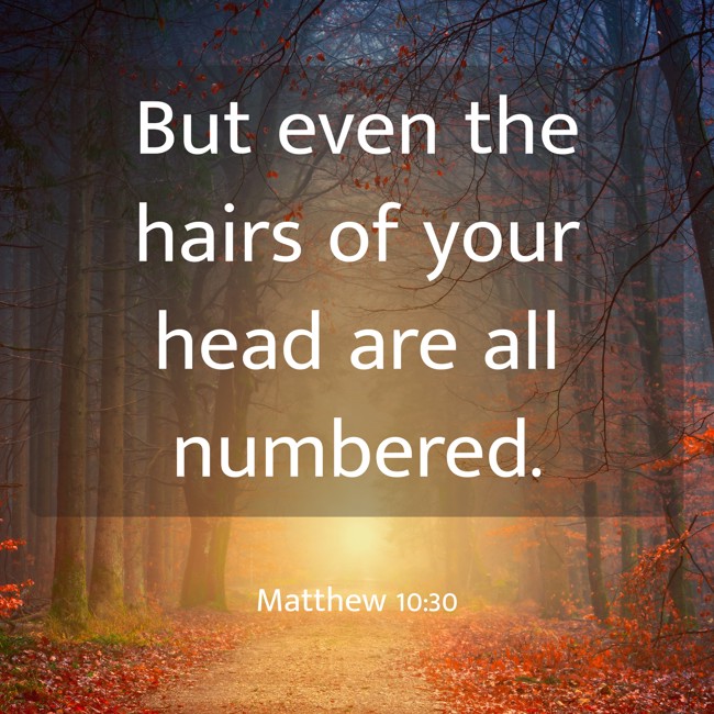 But even the hairs of your head are all numbered. - Matthew 10:30