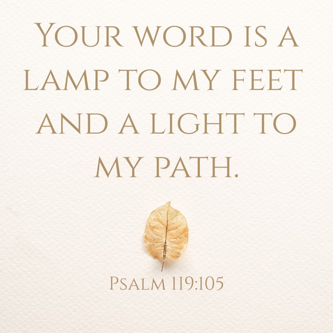 Your word is a lamp to my feet and a light to my path. - Psalm 119:105