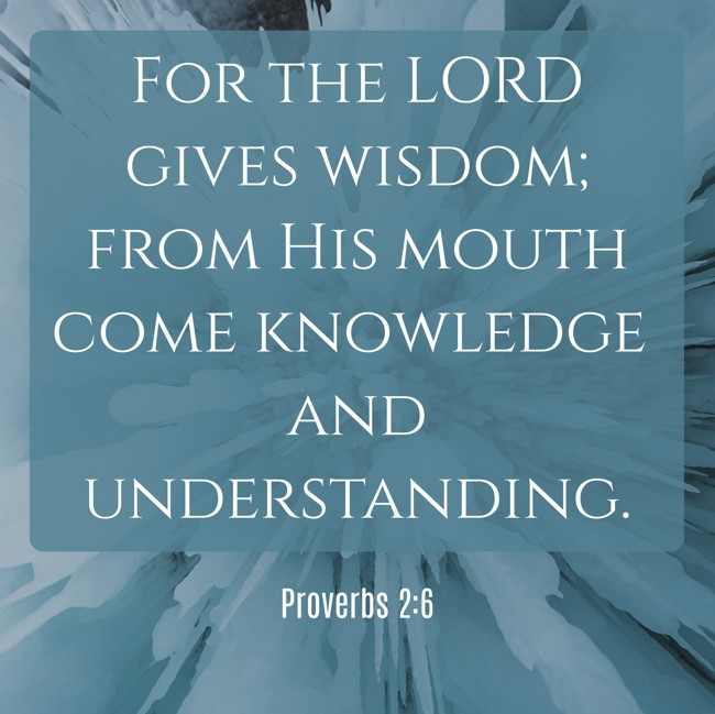 For the LORD gives wisdom; from His mouth come knowledge and understanding. - Proverbs 2:6