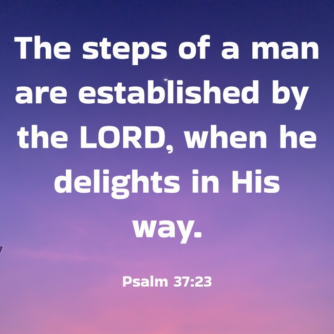 The steps of a man are established by the LORD, when he delights in His way. - Psalm 37:23