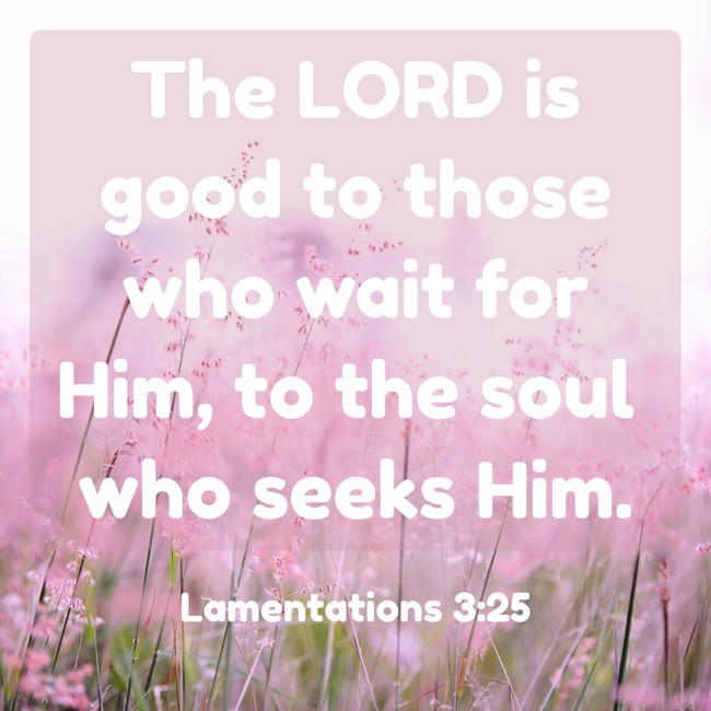The LORD is good to those who wait for Him, to the soul who seeks Him. - Lamentations 3:25