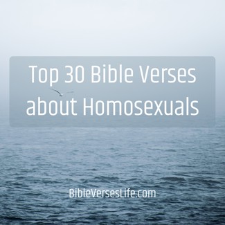 Top 30 Bible Verses about Homosexuals