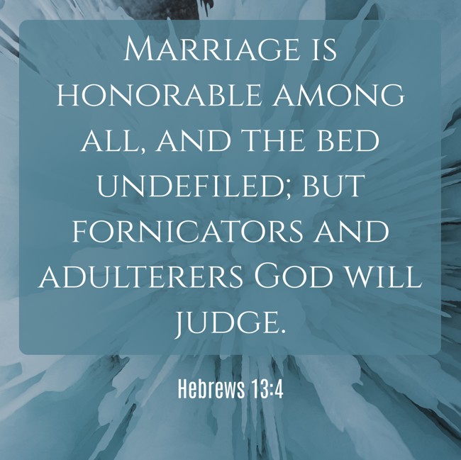 Marriage is honorable among all, and the bed undefiled; but fornicators and adulterers God will judge. - Hebrews 13:4