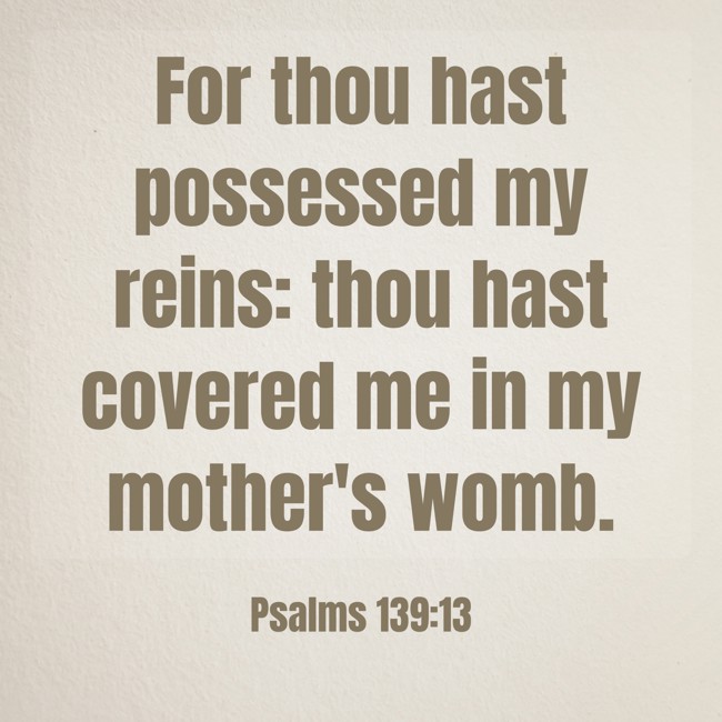 For thou hast possessed my reins: thou hast covered me in my mother's womb. - Psalms 139:13
