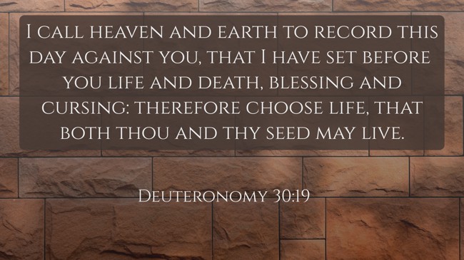I call heaven and earth to record this day against you, that I have set before you life and death, blessing and cursing: therefore choose life, that both thou and thy seed may live. - Deuteronomy 30:19